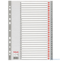 Przekładki plastikowe szare PP A4 1-31 100108 numeryczne ESSELTE